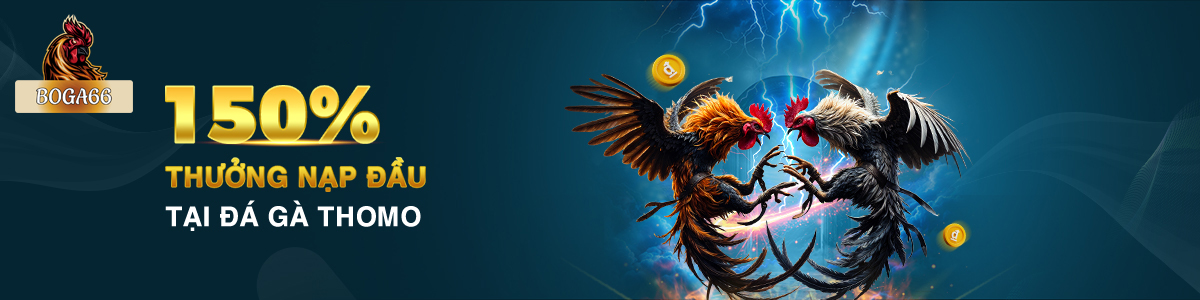 boga66-banner