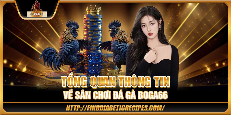 Tổng quan thông tin về sân chơi đá gà BOGA66